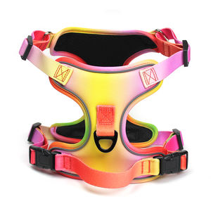 Set Harnesses Anjing dan Kucing dari Nilon, Custom Print Mewah, Dapat Disesuaikan, Reflektif, Kuat, Anti Tarik, untuk Aktivitas Luar Ruangan - Product Image 4