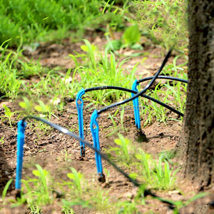 Fabrika fiyat damla sulama sistemi damla ok 4 yollu uzun damlatıcı bahis kitleri sera fidanları için - Product Image 6