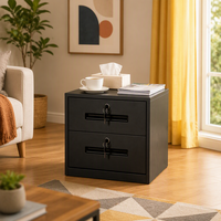 Armoire de classement moderne en acier à 2 tiroirs verrouillable avec rangement pour l'organisation de documents dans la chambre et l'entrepôt