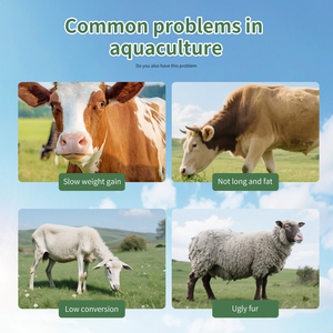 אדום גידול כבשים גידול בקר גידול בקר מזון עבור בעלי חיים משמין עלייה במשקל לשפר את איכות בשר ויטמין פרחת אבקת פרחת - Product Image 3