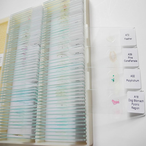 학교 교육용 고정된 생물학 조직학 준비된 현미경 슬라이드 100개 세트 - Product Image 3