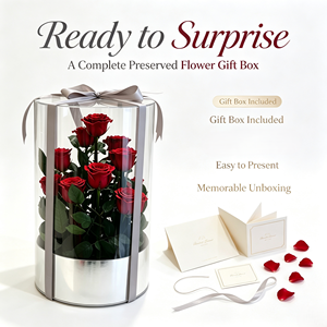 Rosa Eterna Attiva '<span class=keywords><strong>Giardino</strong></span> <span class=keywords><strong>Segreto</strong></span>', Rosa Rossa Conservata, Regalo per Decorazioni Eventi, Festa della Mamma, San Valentino, Natale - Product Image 6