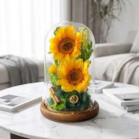 AM-PFA64 Ammy Fleurs éternelles Tournesol sous cloche en verre avec boîte cadeau noire Fleurs préservées sous couvercle en verre Décoration de Noël pour la maison
