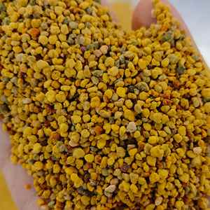 Polen de Abeja de Alta Calidad, Polen de Abeja de Colza, 100% Puro, Polen de Abeja Mezclado con Polen de Colza, Polvo de Polen de Abeja - Product Image 5