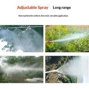 Pulverizador de Mochila de Gasolina de Alta Presión de 4 Tiempos con Bomba de Aluminio para Jardín, Huerto, Protección Forestal y Agrícola, con Certificación CE - Product Image 3