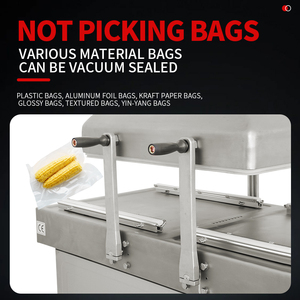 DZ-600/2S bao bì buồng đôi đóng gói chân không thực phẩm niêm phong máy cho thực phẩm - Product Image 5