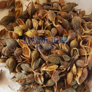 สายการผลิตแบบอัตโนมัติเต็มรูปแบบสำหรับการอบแห้งและทำให้ดอกฟอร์ซิเทียเสื่อมสภาพด้วยสายพานตาข่าย พร้อมอุปกรณ์อบแห้งดอกฟอร์ซิเทีย - Product Image 5