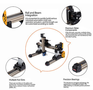 Efficient Reliable Gantry <strong>Robot</strong> XYZ 3 Axis Engraving Machine Mechanical System Parts 5/2/3/4 Axis Gantry Linear Guide Module - Product Image 4