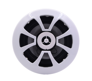 Haut-parleurs marins H-054 6,5 pouces 2 voies 4 ohms étanches IP-X6 certifiés CE (paire) Nouveaux pour bateaux/yachts/camping-cars/voitures de golf - Product Image 6