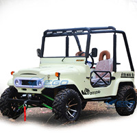 Willys Jeep 250cc Dune Buggy pour adultes, véhicule tout-terrain, buggy électrique, Willys Jeep pour adultes, mini Willys Jeep Dune Buggy