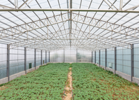 Panneaux de toiture transparents en fibre de verre FRP Skylight