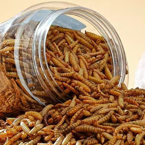 Thịt nguyên chất protein cao mealworms thỏ và guinea lợn bổ sung năng lượng thực phẩm tăng cường cho vật nuôi nhỏ - Product Image 1