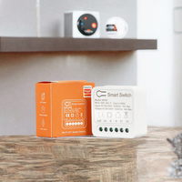 Interrupteur intelligent miniature DIY 16A Tuya WiFi+RF TY2-MINI-16A, contrôle bidirectionnel, module d'automatisation de la maison intelligente, 90-250V via Alexa Google Home