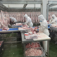 Machines commerciales d'abattage de moutons Solution clé en main Composants de base de moteur et de roulement pour les abattoirs de bétail
