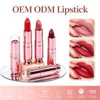 Rouge à lèvres mat velours imperméable en gros à faible MOQ, maquillage longue tenue non collant, rouge à lèvres minéral pigmenté, marque privée