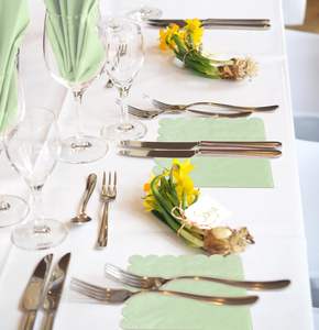 浅绿色扇贝形婚礼餐巾 |   云定个性化双层豪华餐巾 - Product Image 4