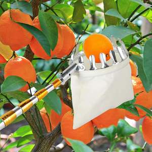 Herramientas <span class=keywords><strong>de</strong></span> Hardware para jardín agrícola rojo, <span class=keywords><strong>recogedor</strong></span> <span class=keywords><strong>de</strong></span> <span class=keywords><strong>manzanas</strong></span> <span class=keywords><strong>de</strong></span> 8,2 pies, poste recolector <span class=keywords><strong>de</strong></span> frutas con cesta, <span class=keywords><strong>recogedor</strong></span> <span class=keywords><strong>de</strong></span> frutas portátil telescópico - Product Image 5