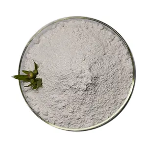 Rutom Factory Supply Natural Mineral Fertilizer Multiple Applications Powder Kaolin Fertilizer For Fertilizer Supplier