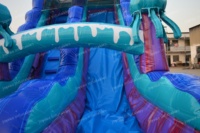 Toboggan aquatique gonflable Méduse d'été, thème océan, toboggan gonflable pour enfants, toboggan gonflable commercial