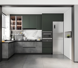 Armarios de cocina modulares de diseño personalizado Colección de armarios del fabricante - Product Image 4