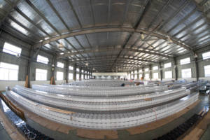 E-Nice 12v 배터리 12볼트 50암페어 배터리 태양광 시스템 UPS EPS - Product Image 5