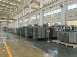 Transformateur de distribution triphasé immergé dans l'huile S13-M 22kV 630kVA, bobinage entièrement en cuivre, norme IEC pour le réseau électrique du Cameroun - Product Image 4