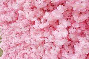 Muro de Flores Artificiales de Seda de Alta Calidad, Rosas 5D/8D, Decoración para Bodas, Eventos, Año Nuevo <span class=keywords><strong>Chino</strong></span>, Fondo para Fiestas en Casa y Escenarios - Product Image 6