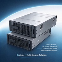 ODM DM7100H Enterprise Hybrid Storage Array 25Gb ISCSI, 32Gb FC, 12Gb SAS Expansion Port untuk VDI Beban Kerja Big Data