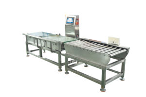 Yüksek hassasiyetli büyük çanta ambalaj dijital ağırlık kontrol ağırlık kontrol makinesi - Product Image 2