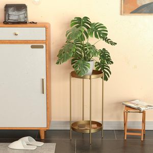 Étagère d'affichage de plantes d'intérieur en métal classique pour pépinière maison jardin Patio balcon salon salle de bain-support de Pot de fleur à plusieurs niveaux - Product Image 5