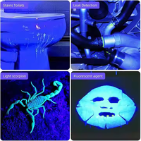 Senter Blacklight UV kuat Mini, senter isi ulang USB 365nm Ultraviolet dengan penyaring hitam untuk detektor urin hewan peliharaan