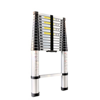 Échelle télescopique en aluminium robuste avec 2 crochets, 5,4 m, pour la construction