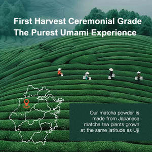 AMULYN Label Pribadi Bubuk Teh Hijau Matcha Kelas Upacara - Product Image 4