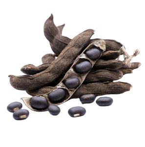 輸出用100% 純粋天然ムクナプルリエンスエキス粉末 - Product Image 3