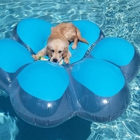 Jouet aquatique gonflable en forme de patte de chien - Convient aux enfants, aux adultes et aux animaux de compagnie, piscine, plage