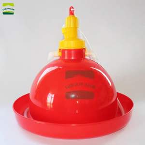 Abreuvoir automatique pour volailles DP19, pour poulets de chair et poules pondeuses - Product Image 2