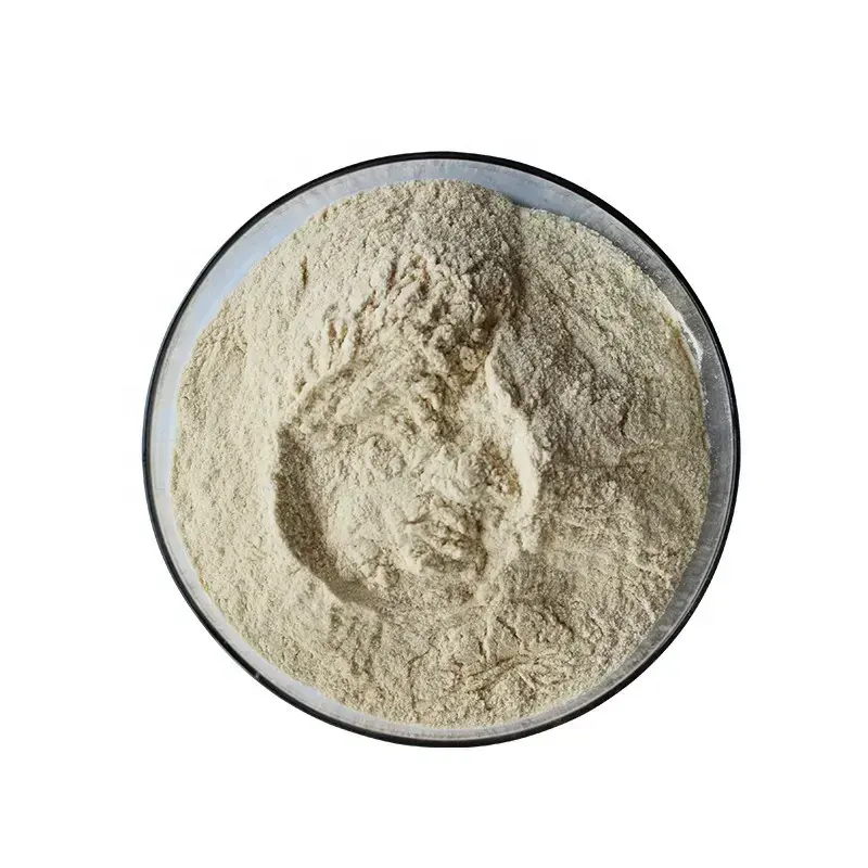 Organic flax seed powder bulk flaxseed extract hot sale flaxseed protein