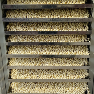 BULK EXPORT DRIED LOTUS SEEDS - HIGH GRADE VIETNAMESE WHOLESALE SUPPLY - Product Image 1