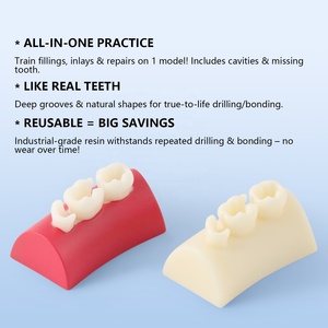 Resina composita che riempie i denti radica del canale di preparazione del simulatore di intarsio dentale blocco di esercizio - Product Image 4