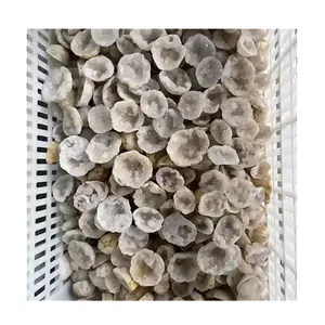 Grosir Natural Quartz Geode Produk Spiritual Batu Akik Putih Cluster Kristal untuk Dekorasi Natal 2023