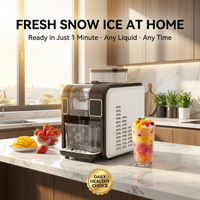 Machine à slush et à glace pilée portable SC 6202 électrique avec alimentation directe par bouteille pour usage domestique, bureau et camping