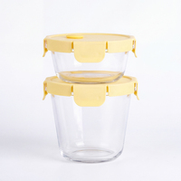 Boîte alimentaire en verre borosilicate à succès avec couvercle, compatible four, hermétique, avec sac de rangement