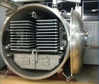 Máquina Deshidratadora de Banda Continua al Vacío Comercial Serie YZG, Nueva Condición, para Procesamiento de Alimentos, Secado y Fabricación, con Motor