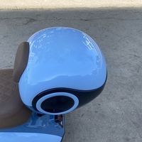 Economic 500W LED Digital Electric 3 Wheel Motorcycle Trimoto Electrica Adultos