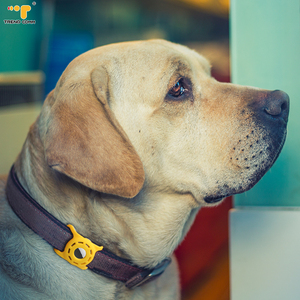 Gran oferta, el más nuevo lanzamiento, cubierta protectora de silicona térmica, diseño hueco, rastreador de Collar de gato/perro antipérdida, seguimiento en tiempo Real GPS - Product Image 2