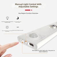 Veilleuse LED à détection corporelle, blanc chaud, 5V, ultra-mince, rechargeable, à intensité variable, portable, minimaliste, contemporaine, mini pour cave à vin