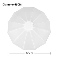 Kit d'éclairage MZG/OEM 65 cm avec boule souple et moule privé, en métal et plastique, pour photographie de portrait et de produits en studio intérieur