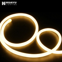Iluminación D23 de 360 Grados, Proyecto de Iluminación de Ingeniería, RGB Disponible para Selección, Servicio Postventa sin Preocupaciones