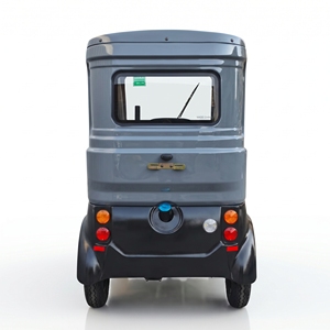 Mototaxi de Gasolina en Oferta, Triciclo de Pasajeros de 250 CC <span class=keywords><strong>para</strong></span> Personas con Discapacidad - Product Image 2