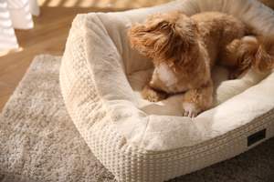 Cozy Dog Sofa Bed Etiqueta privada personalizada Tela a cuadros Desmontable Pet Bolster Bed - Product Image 2